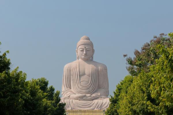 buddha purnima rishikul yogshala