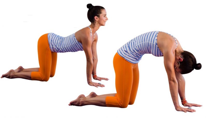 Cat-Cow Pose 