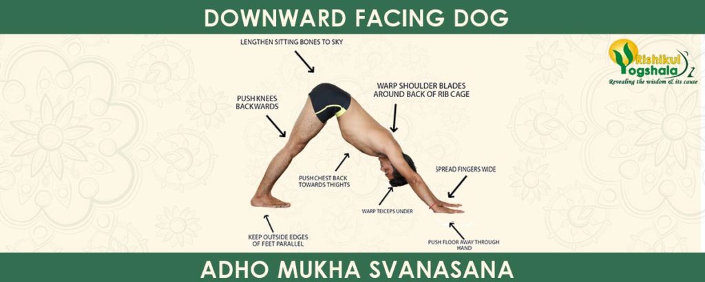 Downward-Facing Dog (Adho Mukha Svanasana)