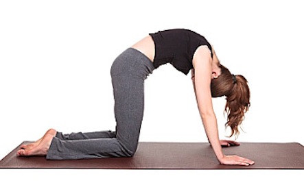 Marjaryasana (Cat Pose)