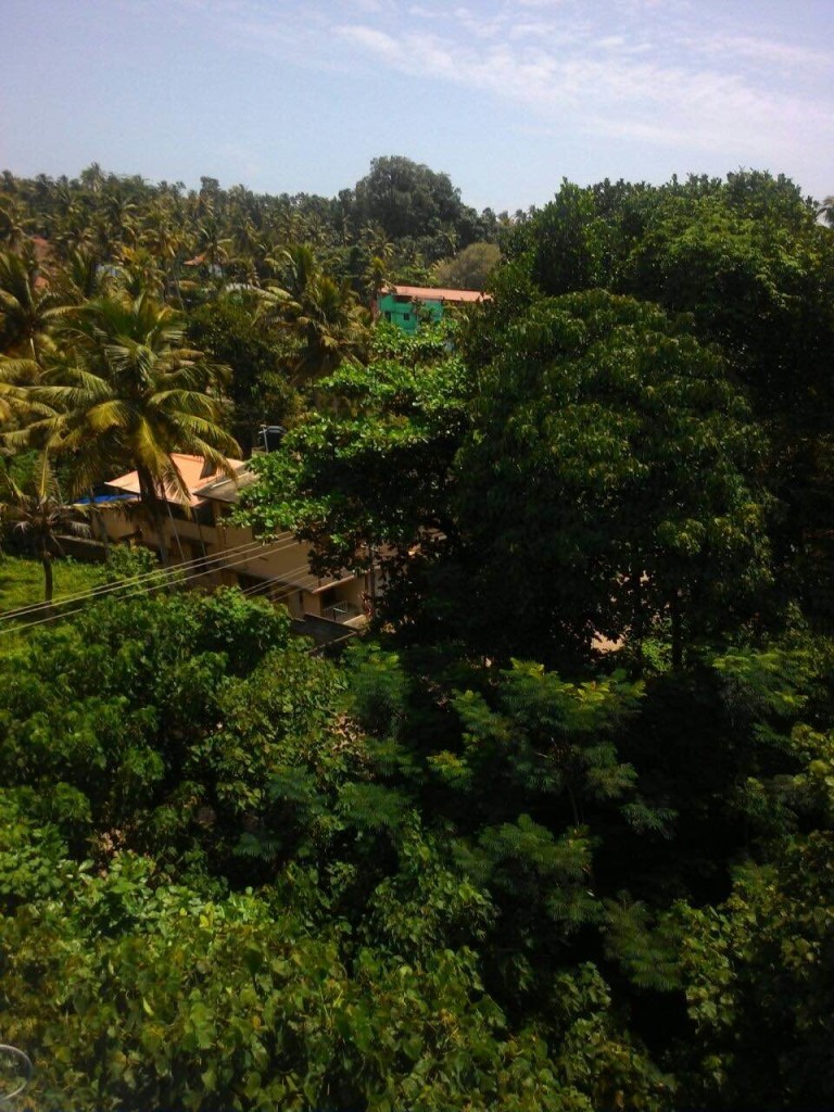 rishikul yogshala kerala