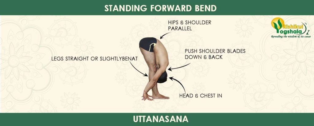 Standing Forward Bend (Uttanasana)