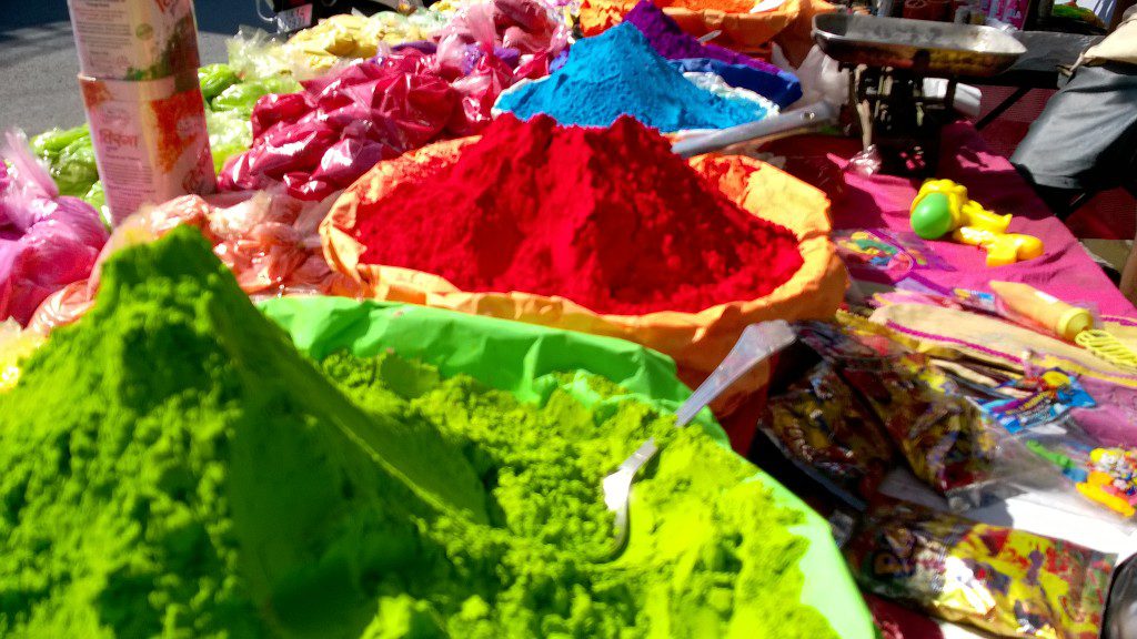 Holi at Rishikul Yogshala