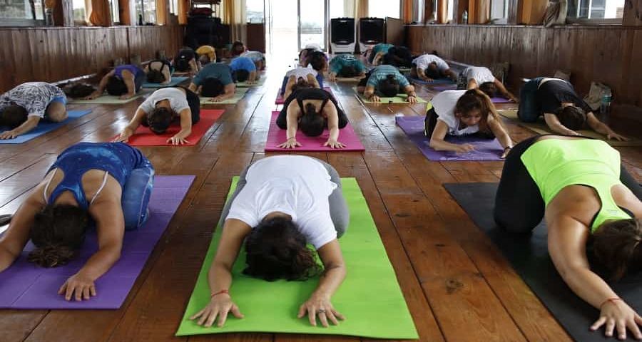 Yoga Teacher Training in Rishikesh