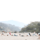 sun salutation