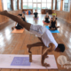 hatha yoga